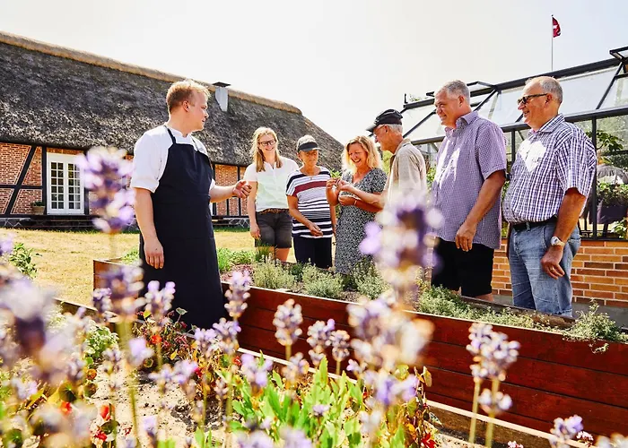 Gl. Avernaes Sinatur & Konference