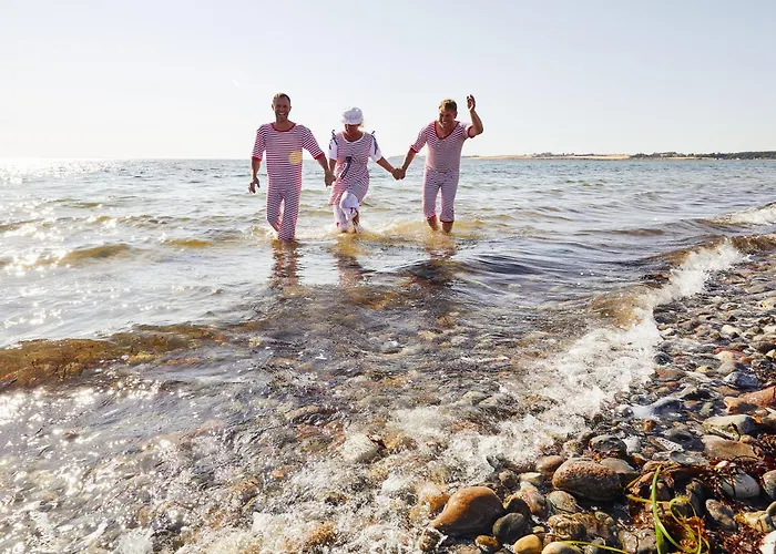 Ξενοδοχείο Gl. Avernaes Sinatur & Konference 3*