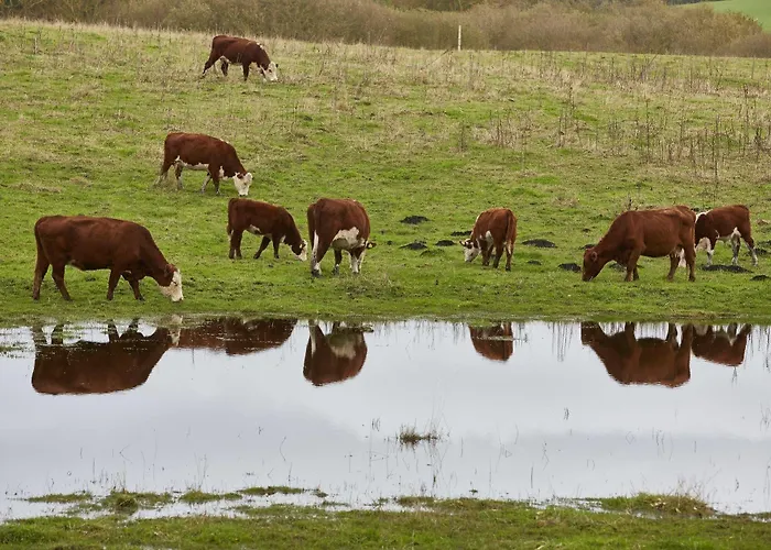 Gl. Avernaes Sinatur & Konference Ξενοδοχείο